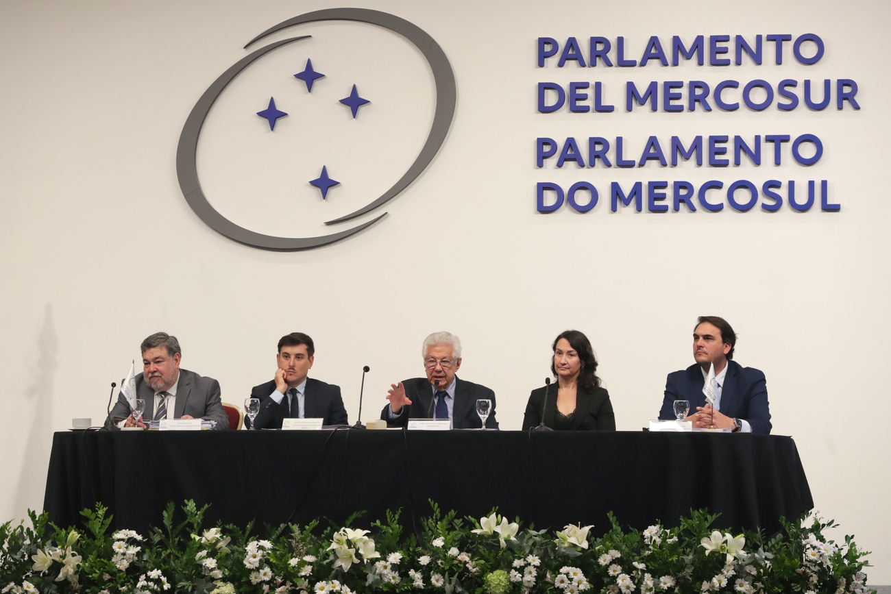 Imagen durante la sesión especial del Parlamento del MERCOSUR el 5 de mayo pasado.