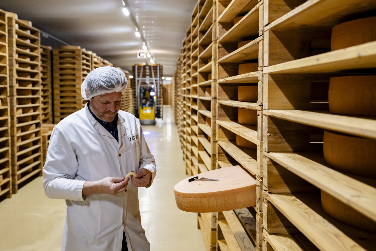Lebensmittelabkommen Schweiz - EU Käse