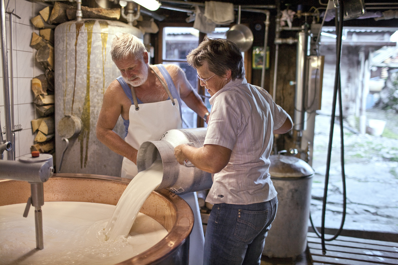 family Waser produces "Niederbauer" alpine cheese