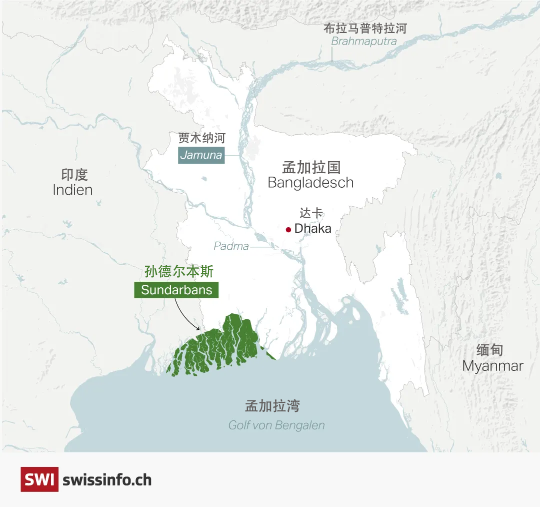 图表