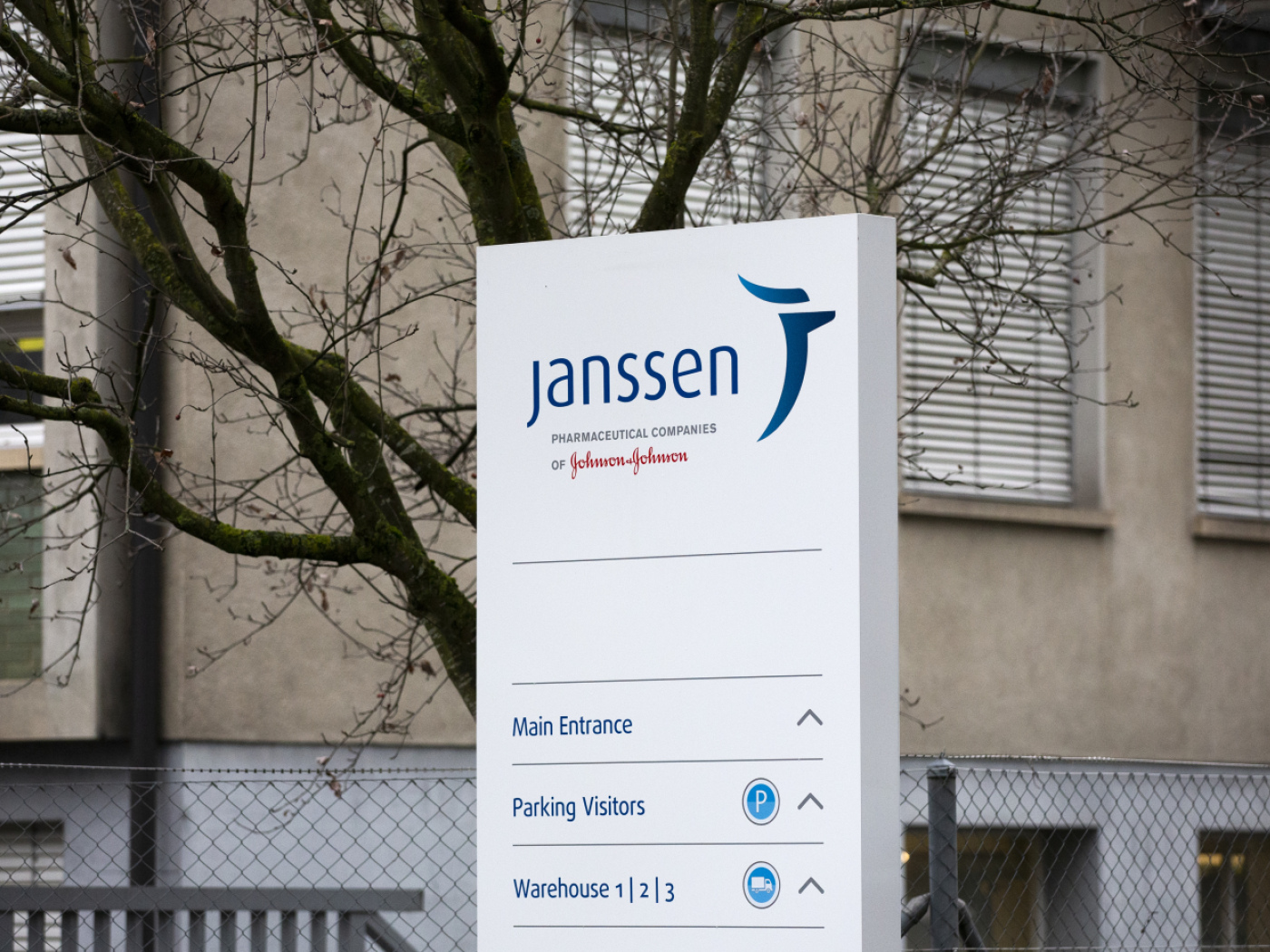 insegna janssen