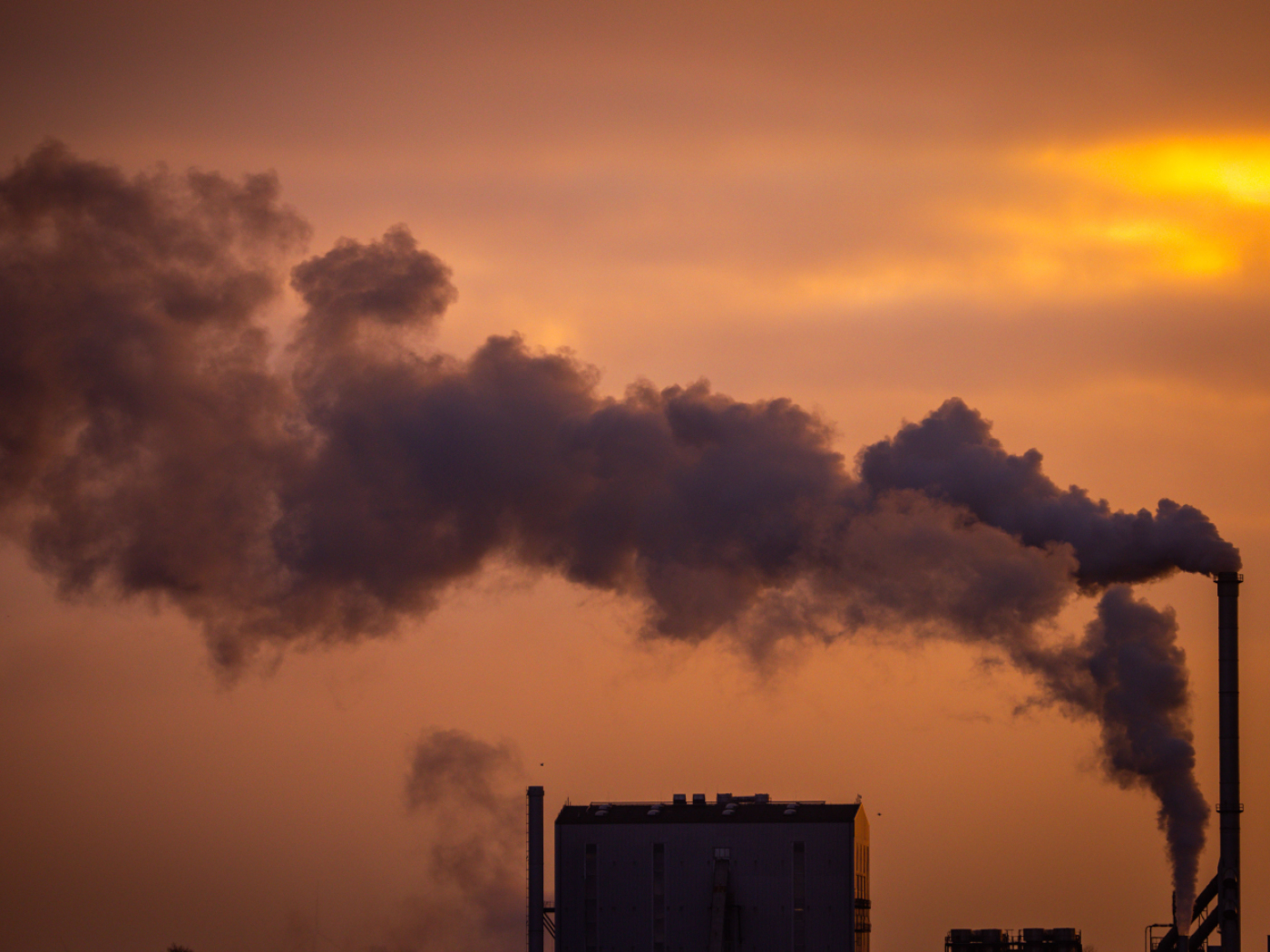 0.5 per cent less CO2 for companies with a net zero target