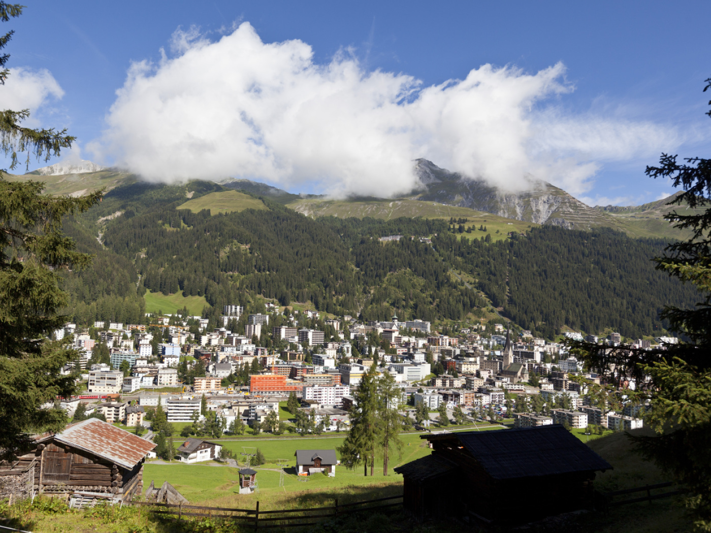 Man allegedly spat at Jews in Davos