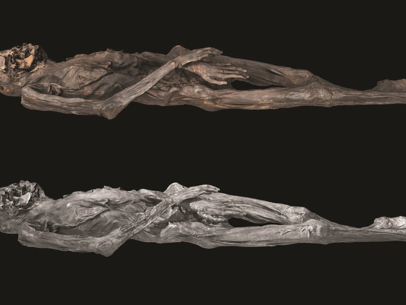 A glacial mummy reveals the craft of prehistoric tattooing