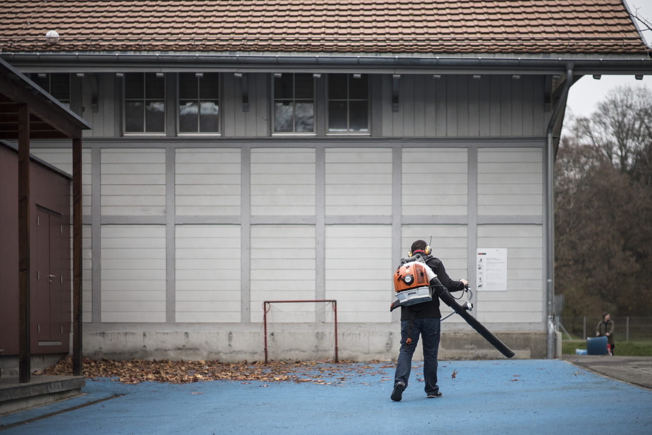 blowing leaves around