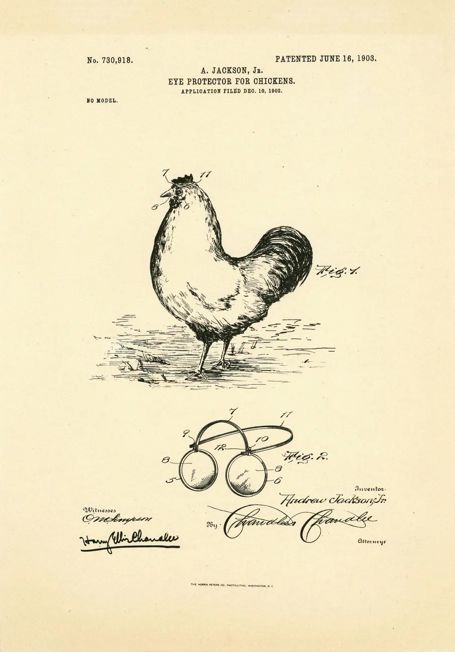 雞用眼鏡,1903年專利。