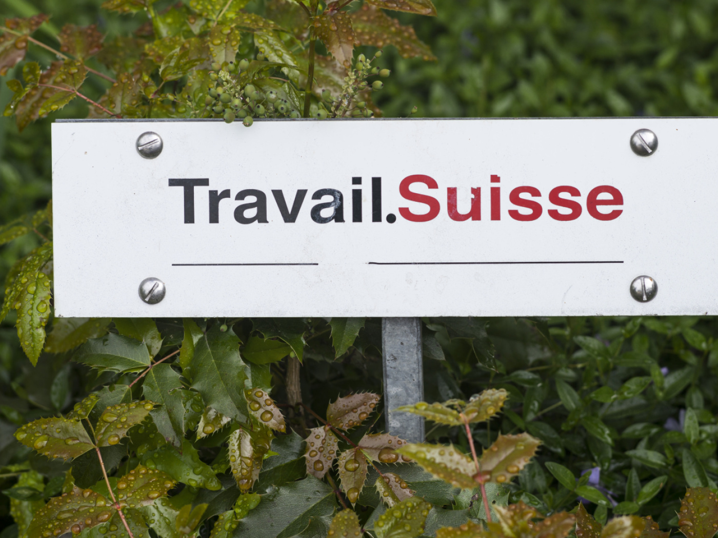logo Travail.Suisse