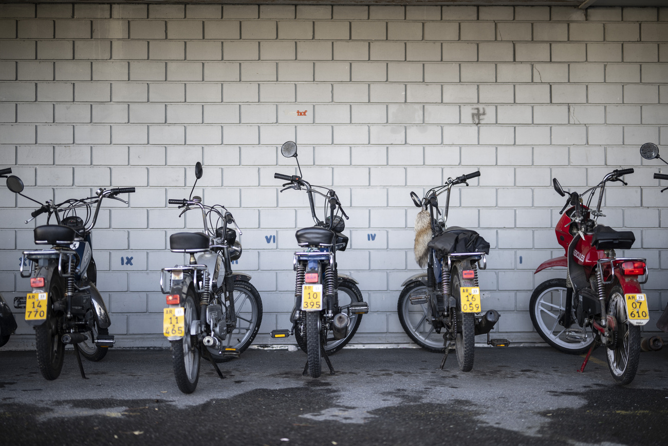 Motorini