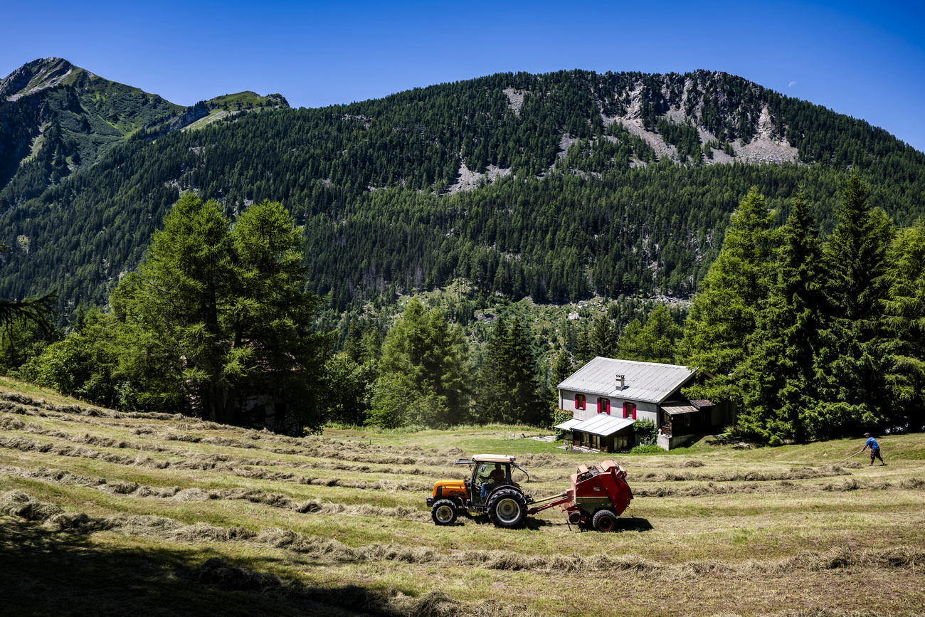 Ein Traktor holt auf einem Feld auf einer Alp das Heu ein