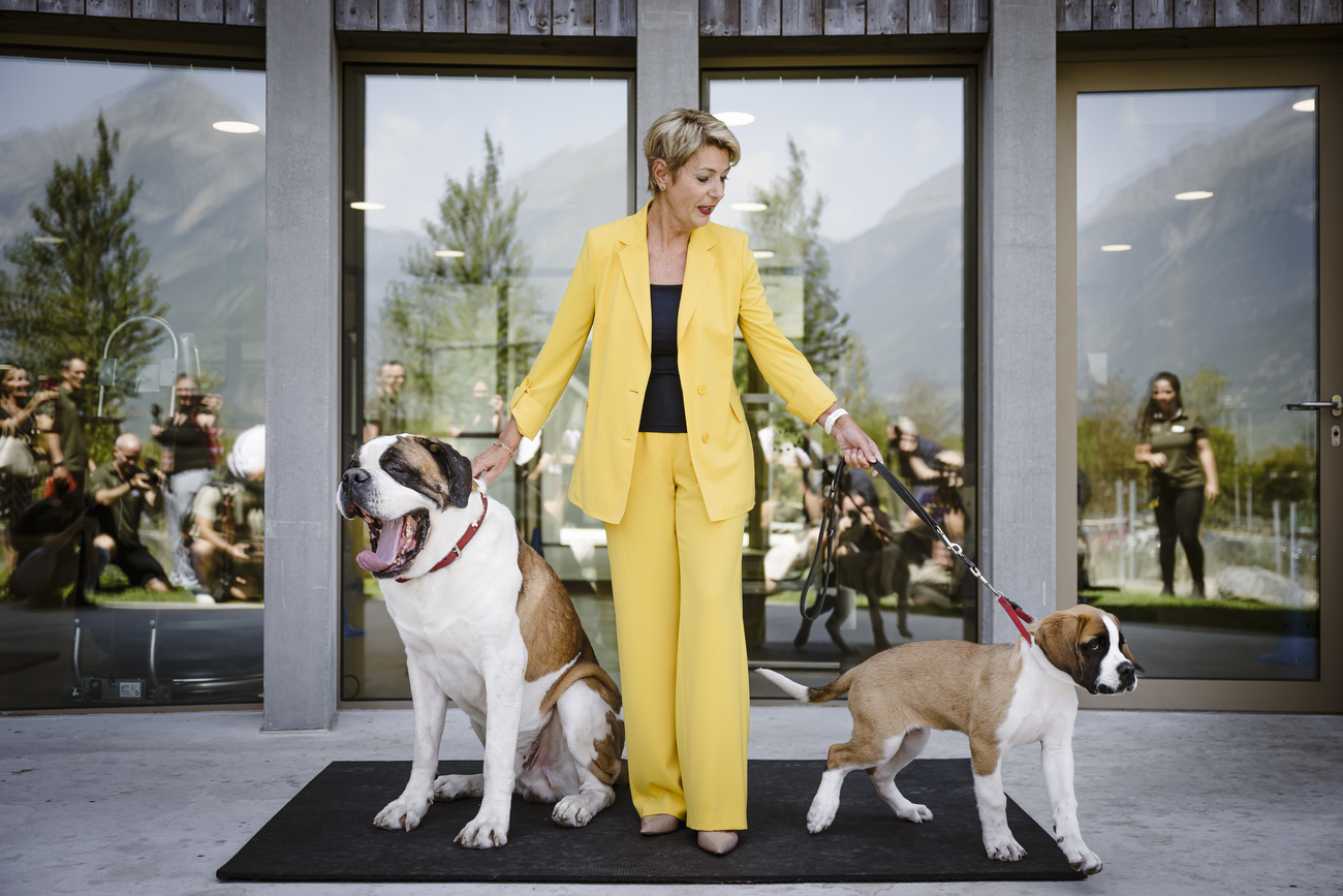 donna con cani