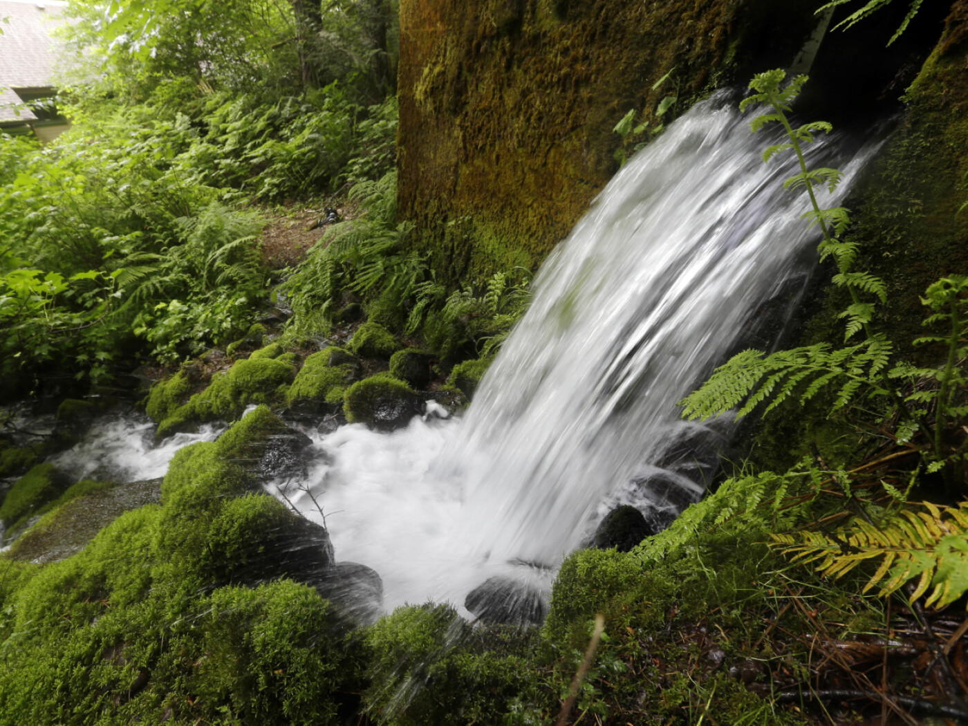 cascata