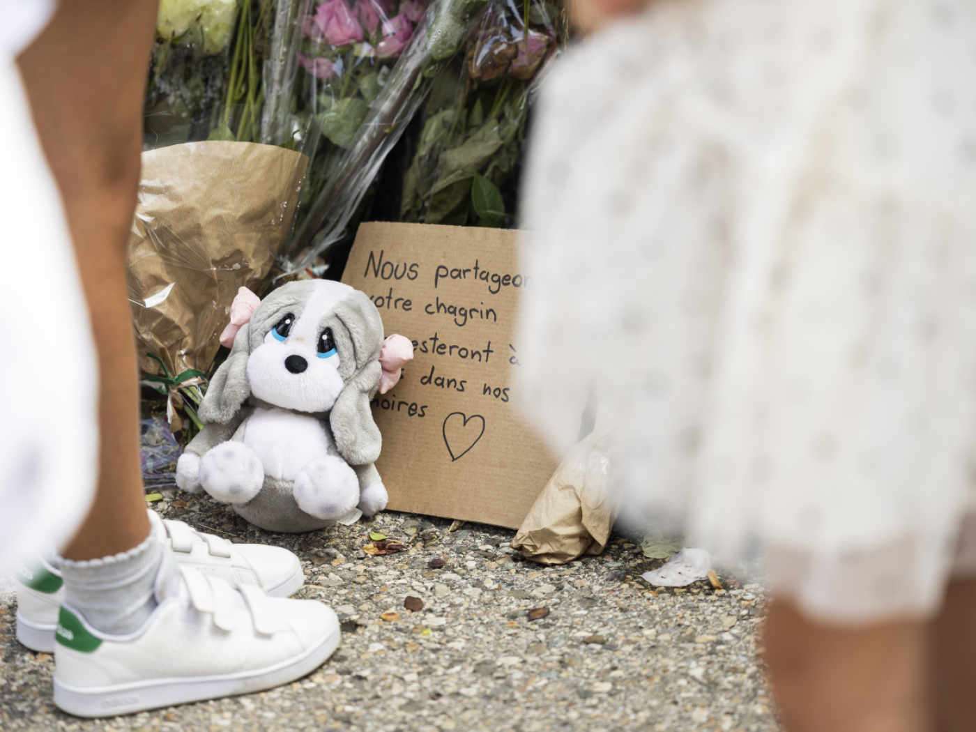 SP plans popular initiative to protect women against violence