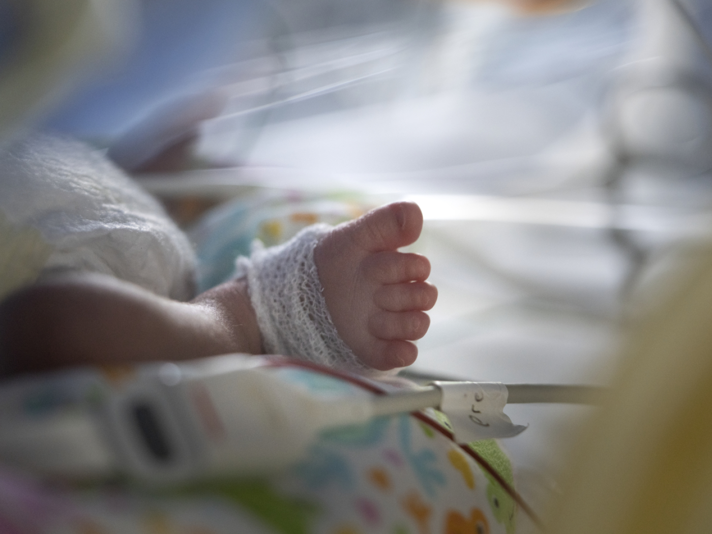 neonato