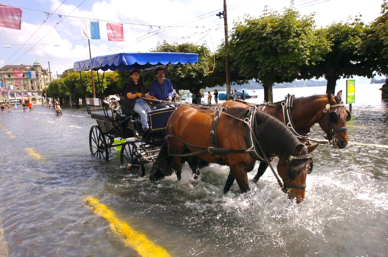 Ein Zweispänner fährt auf einer überfluteten Strasse