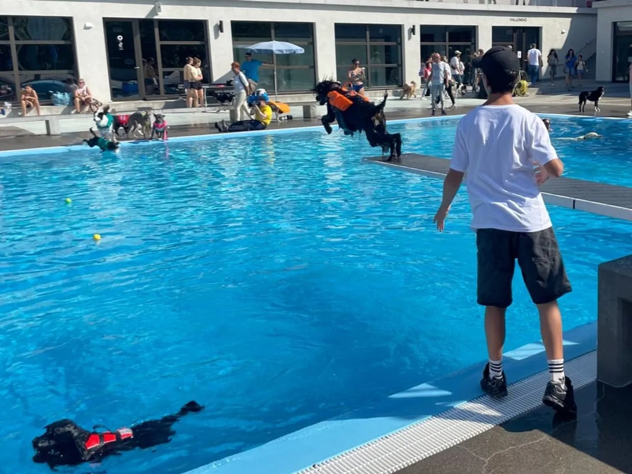 Okuma (sul trampolino) ama l'acqua. La sua famiglia la porta a Opfikon ogni anno.