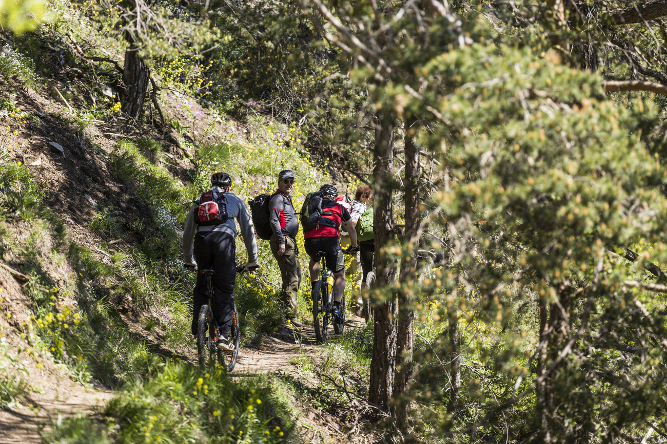For some years there have been frequent conflicts between hikers and cyclists using the same footpaths.
