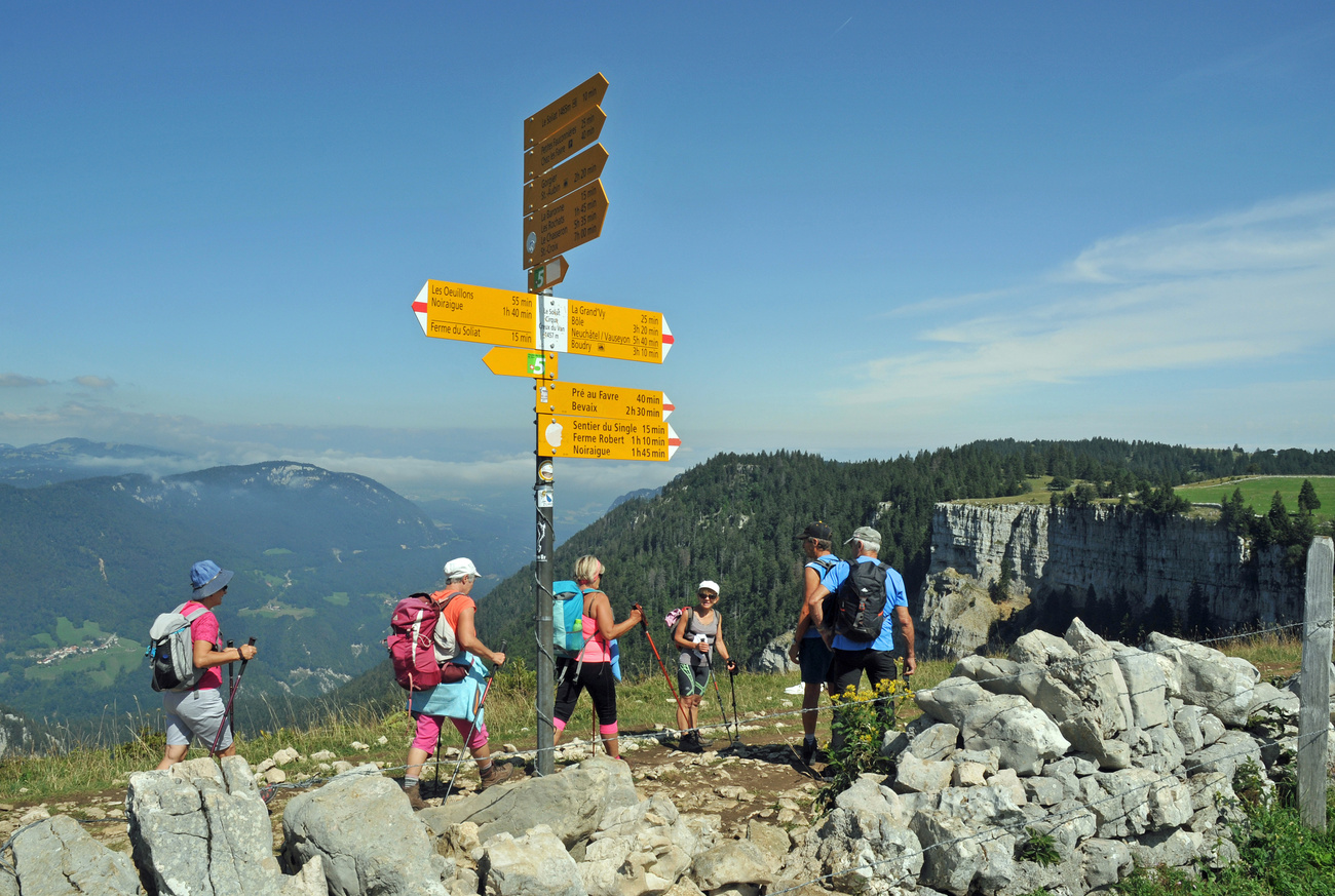 Wanderinnen und Wanderer geniessen die Aussicht auf ein Tal, davor ist ein gelber Wanderwegweiser zu sehen