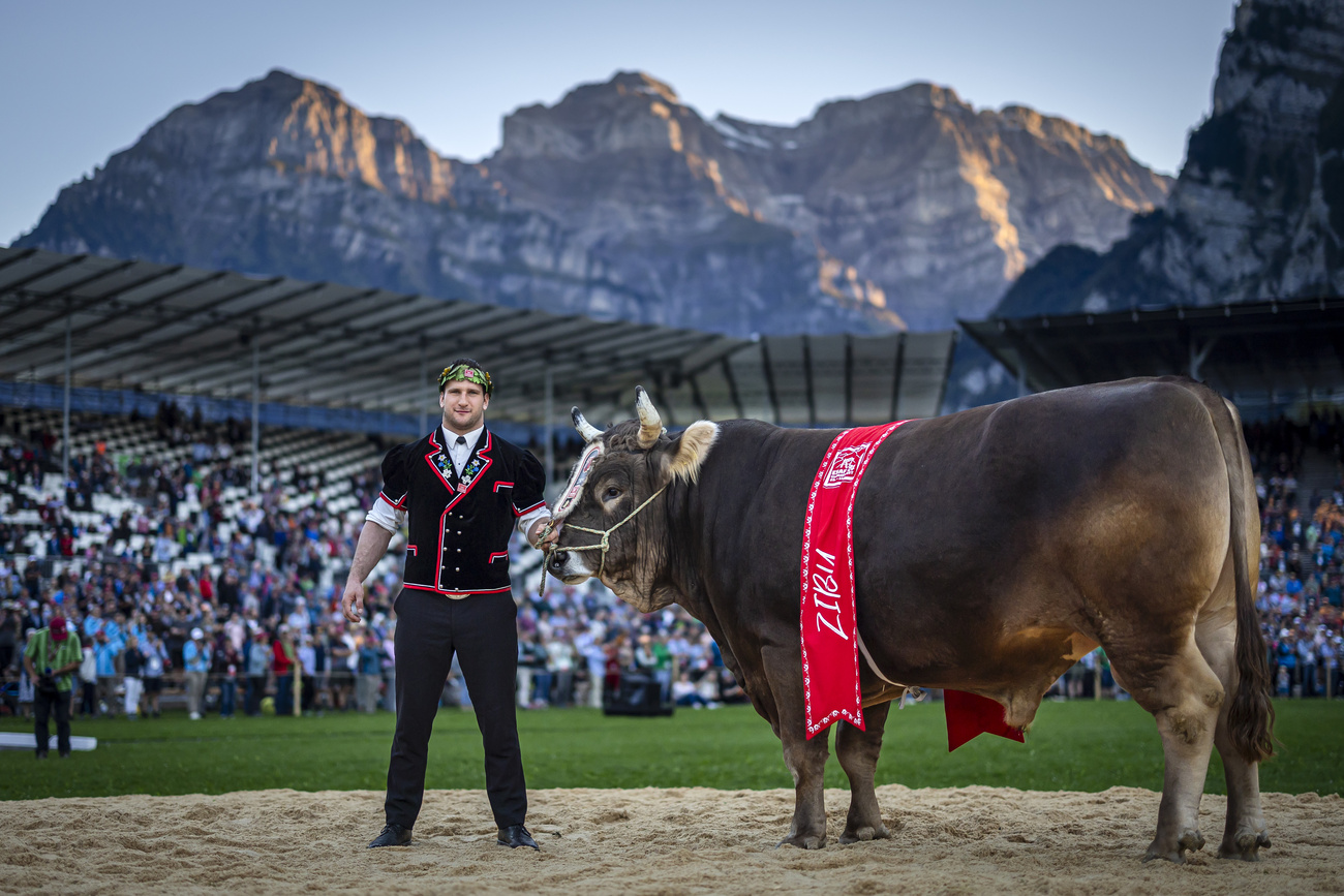 Wrestling king Armon Orlik poses with the winning muni Zibu.