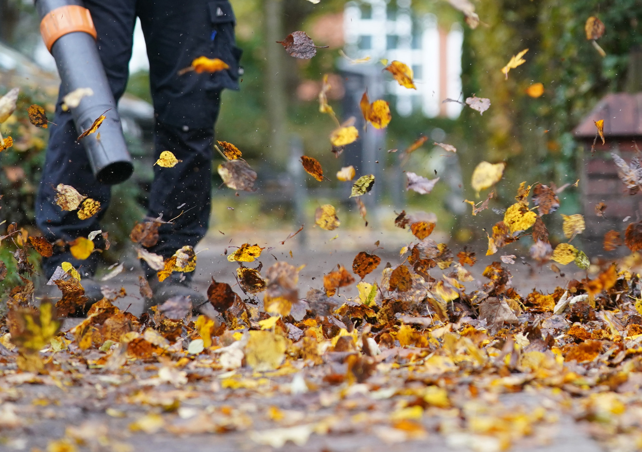 Photo of leaf blower.