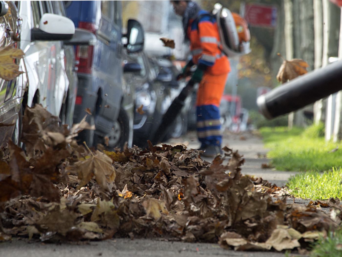 Zurich voters ban petrol-powered leaf blowers