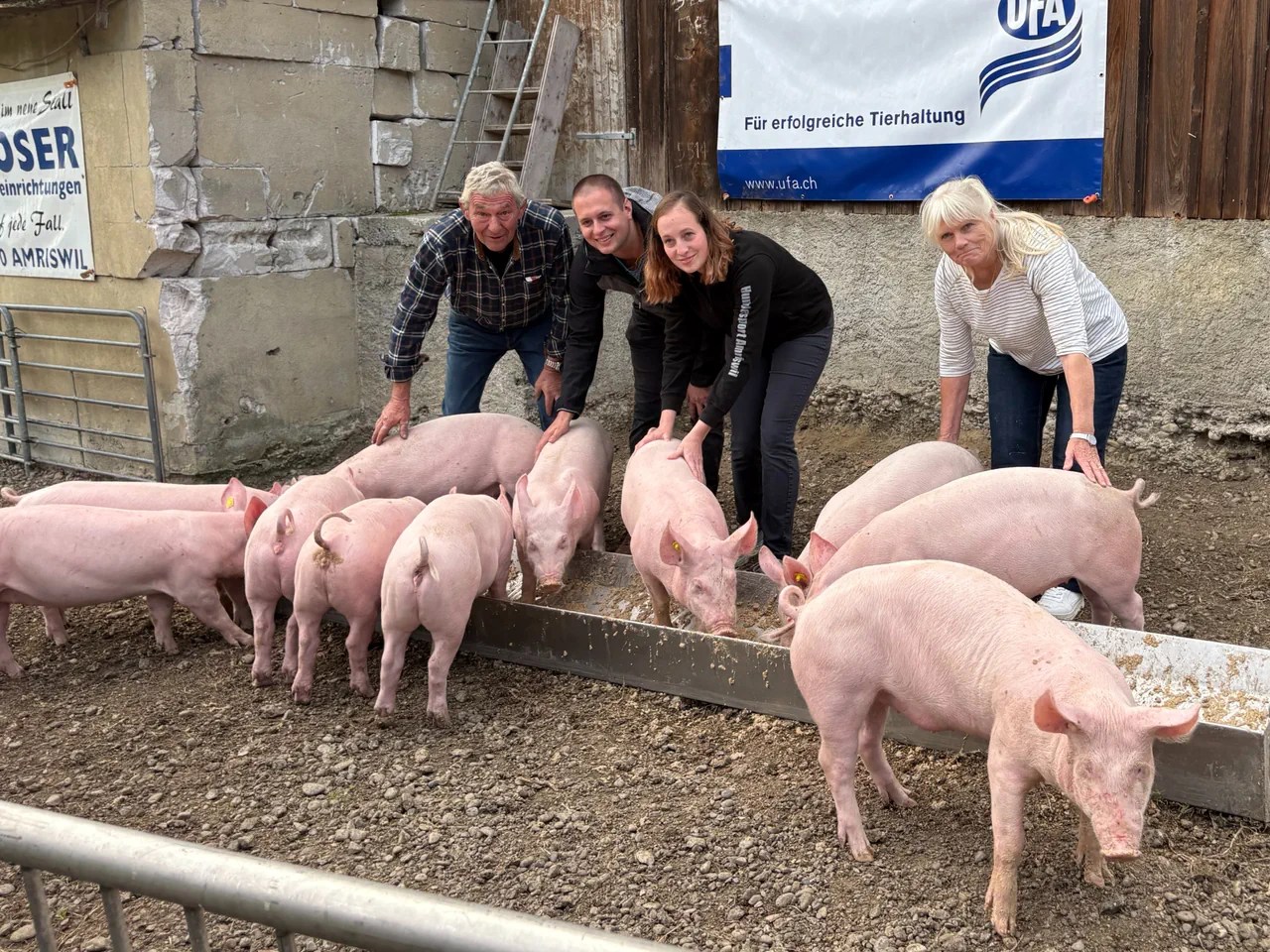 On the Milz farm: Hans and Susanne hand over the racing sows to their successors