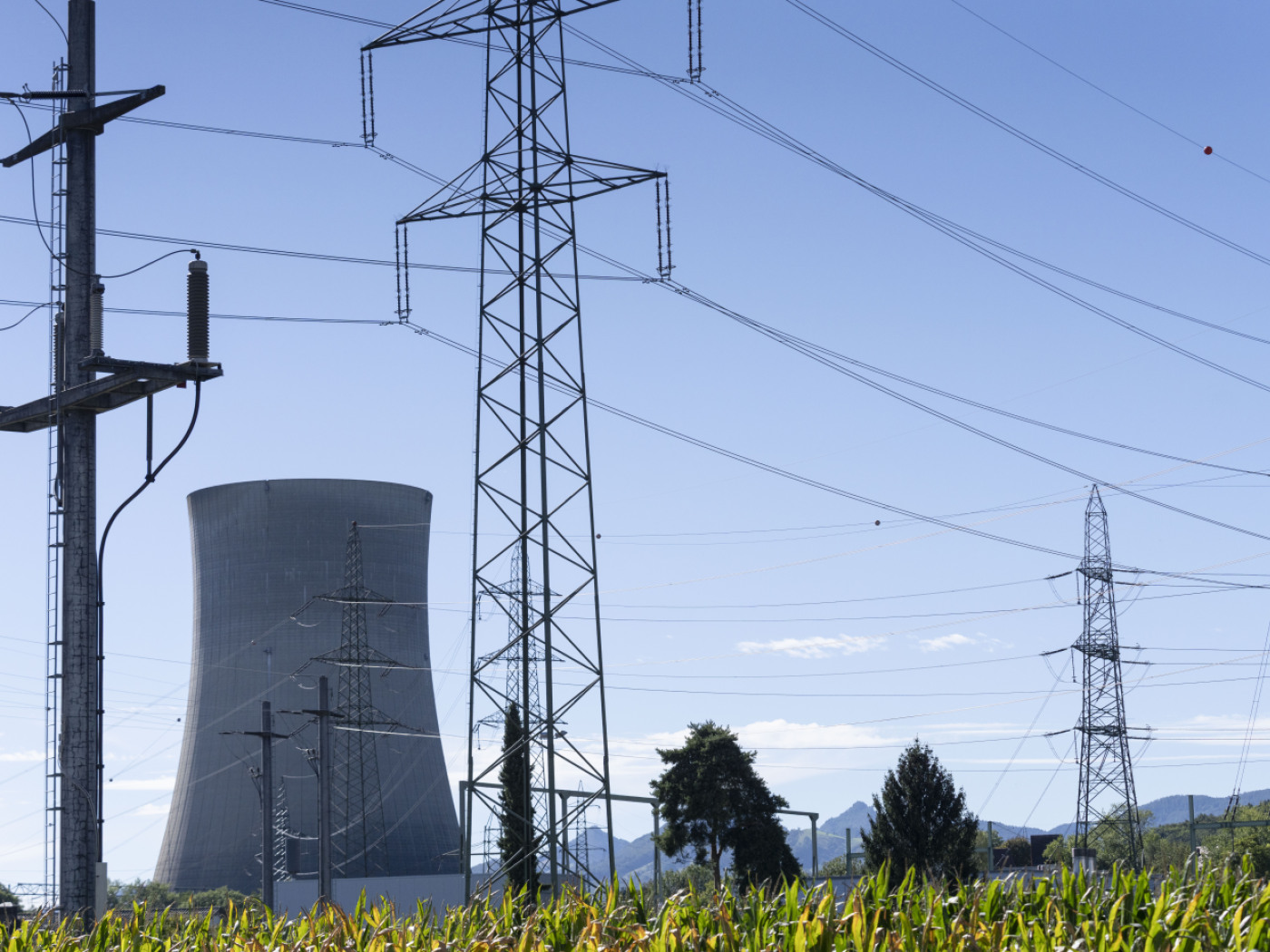 Electricity prices to fall slightly by four per cent in 2026