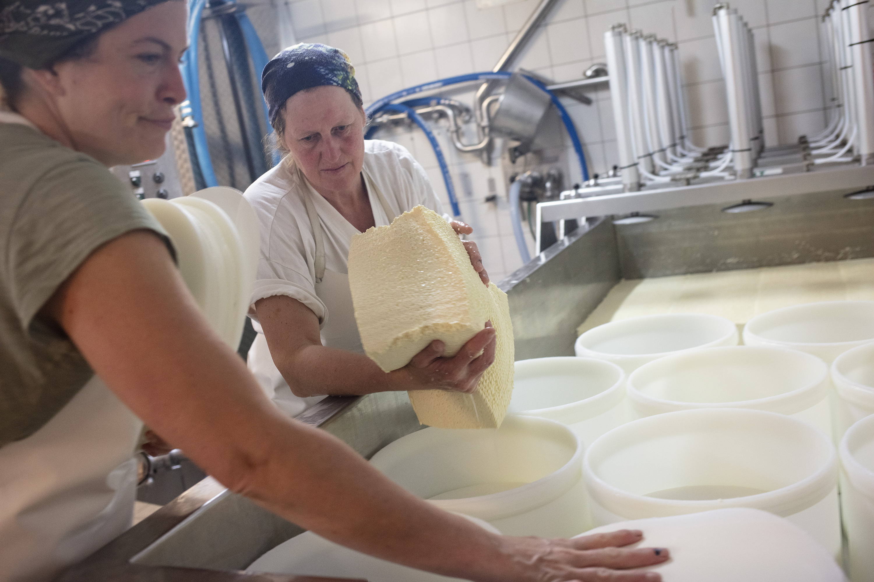 Fabrication de fromage.
