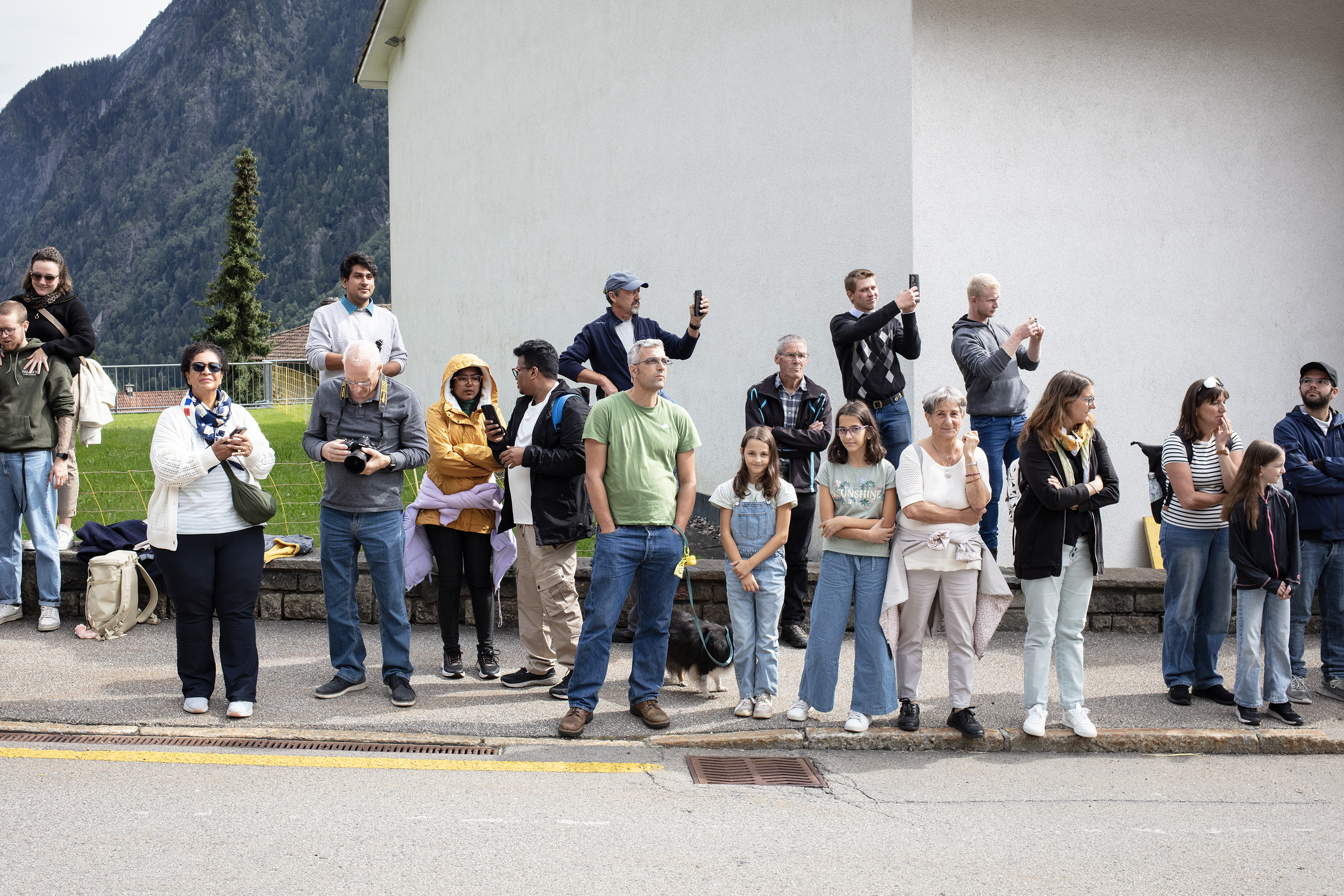Descente depuis l'alpage pour un troupeau de vaches