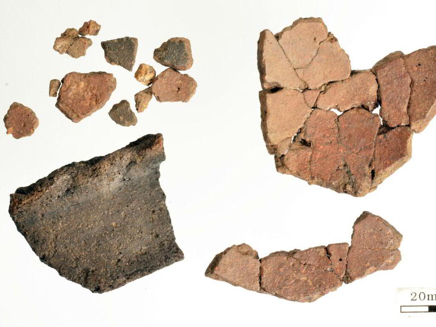 More than 2,000 archaeological objects identified in Delémont