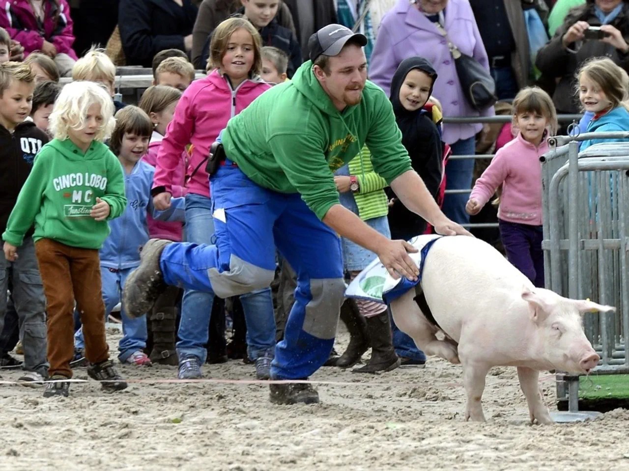 On the opening day of the 70th Olma in the arena in 2012: a pig ends up on the wrong track.