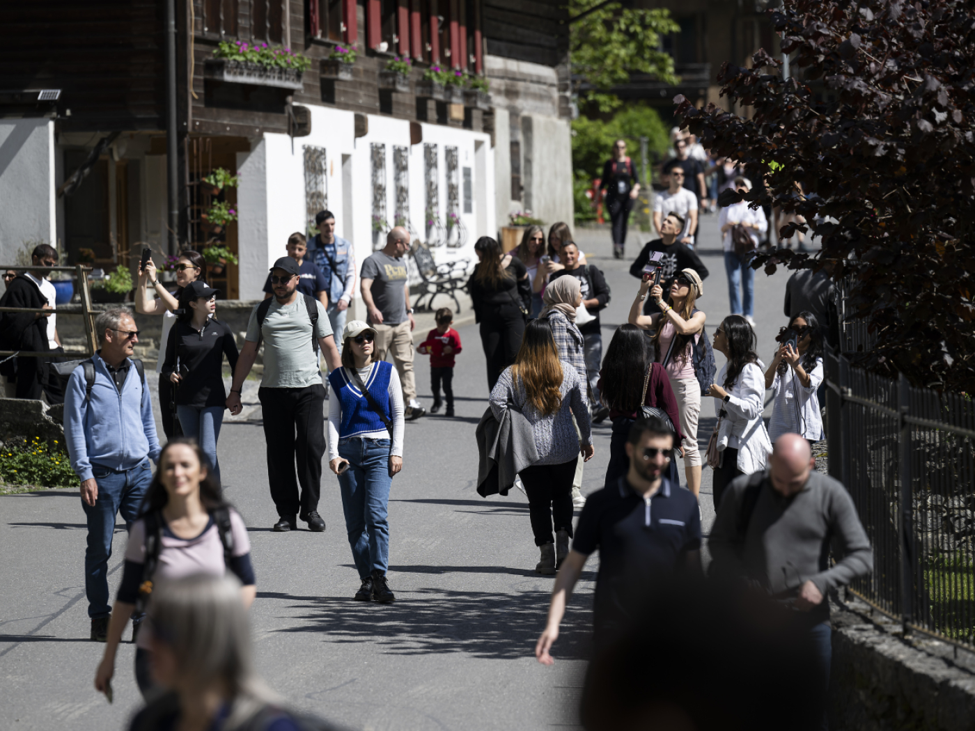 Police arrest 20 suspected thieves in the Bernese Oberland