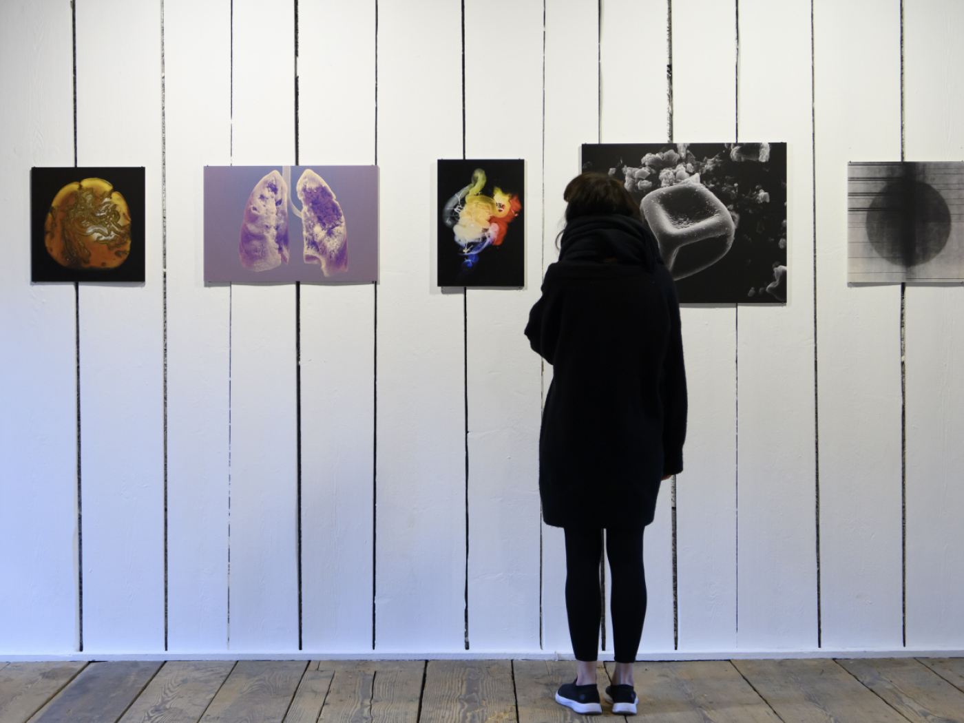 Swiss National Science Foundation forced to make savings