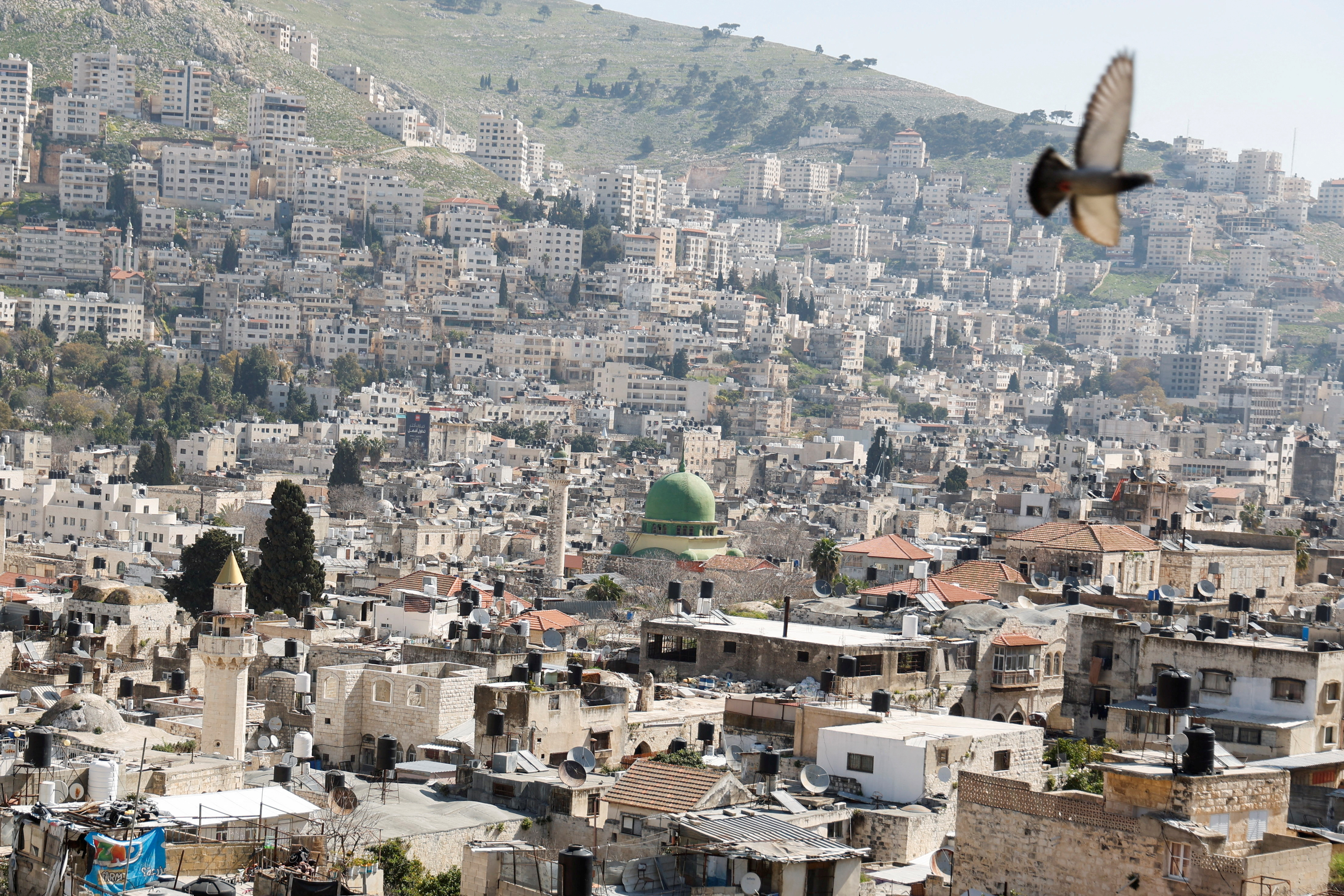 ألمانيا ترحب بمعارضة ترامب لضم إسرائيل للضفة الغربية