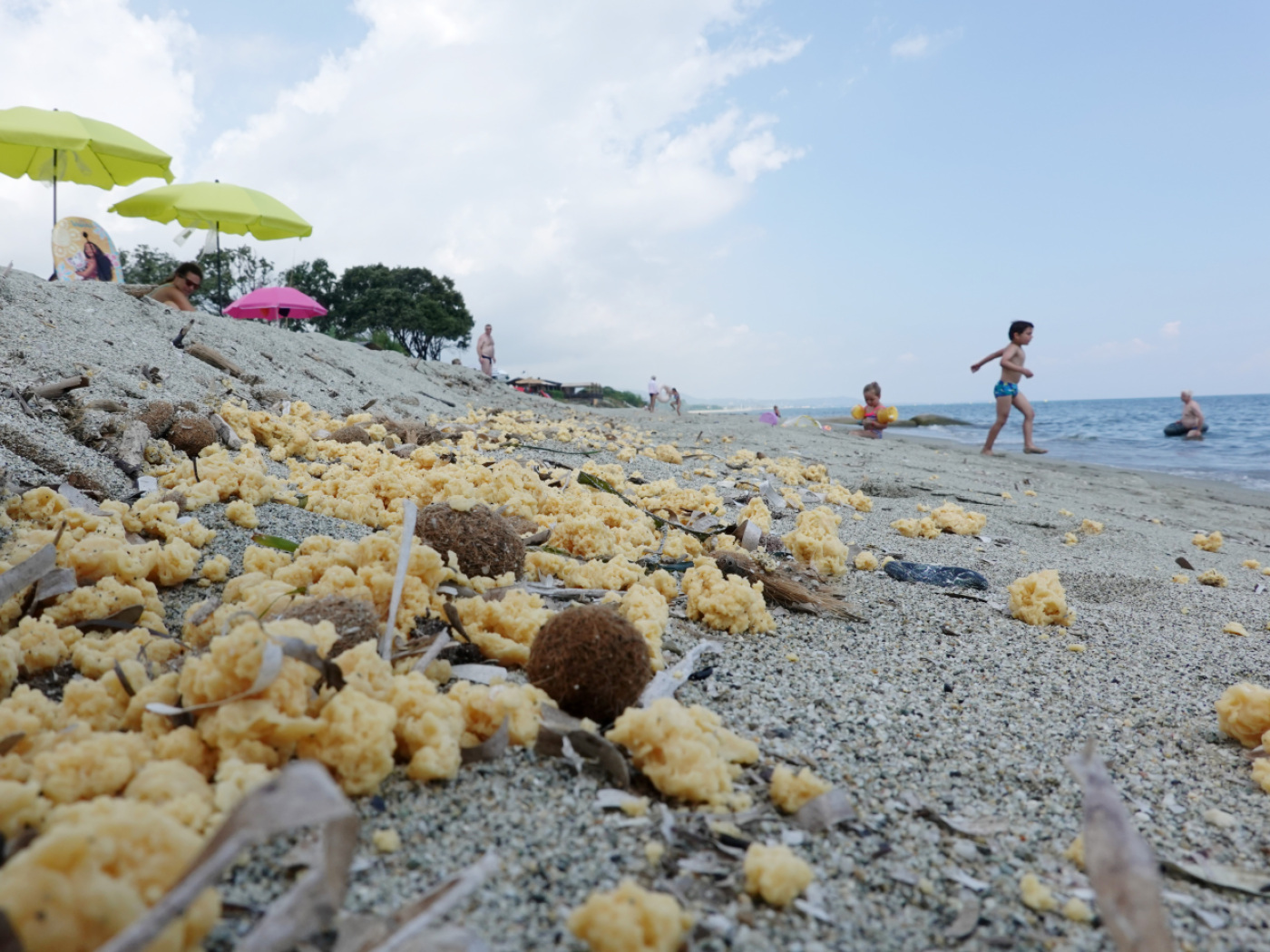 Corsica: body of Swiss man found, murder investigation