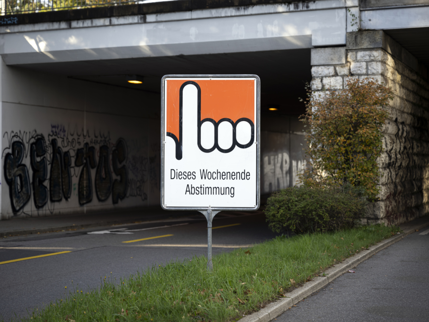 Federal ballot: sabre-rattling to aid the visually impaired and blind