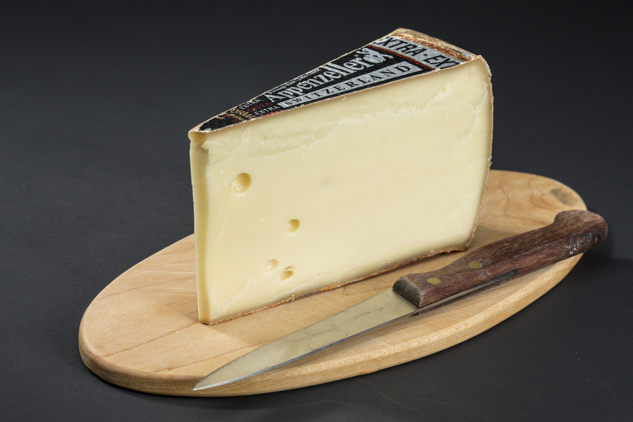 Una fetta di formaggio Appenzeller.