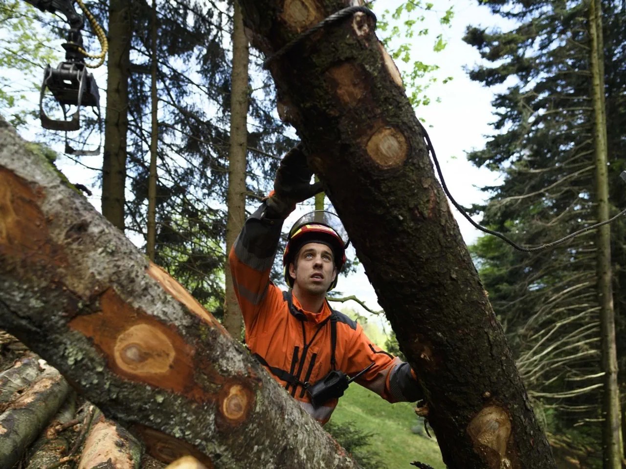 الكثير من الهواء النقي ومع ذلك يصعب في بعض الأحيان ملء وظائف التلمذة الصناعية في مجال الغابات والزراعة.