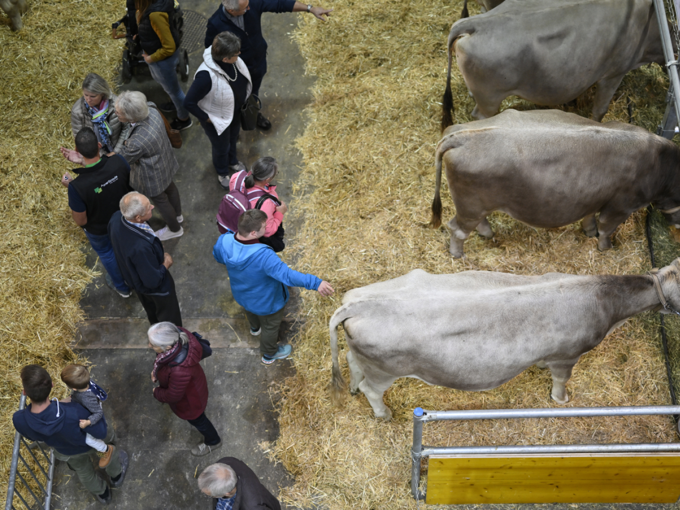 Animal welfare organisation Peta calls for Olma trade fair without animals