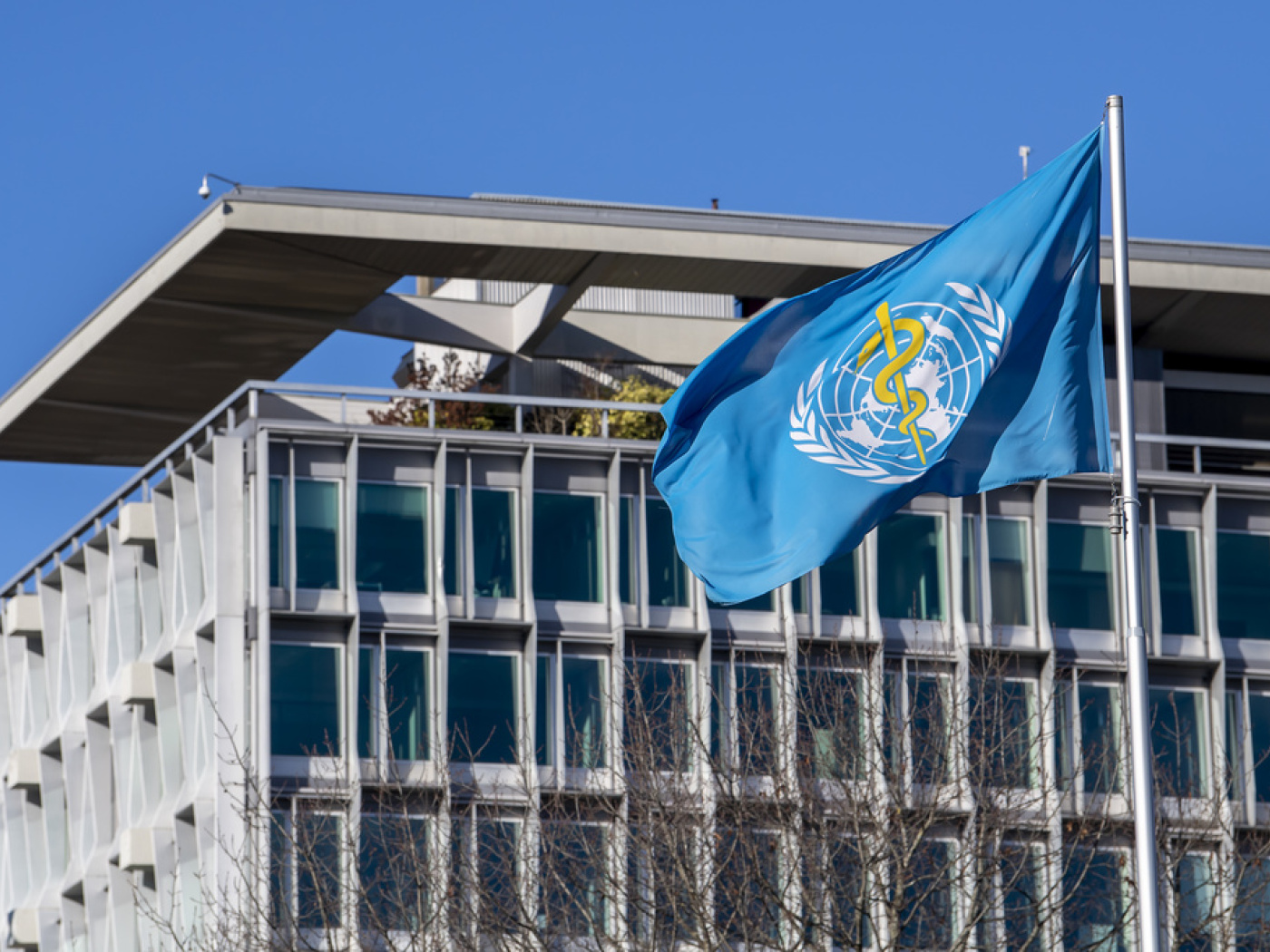 Over 100 million people vapourise worldwide