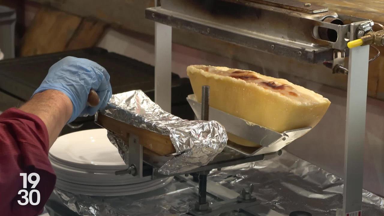 Des fromages à raclette internationaux en compétition à Morgins / 19h30