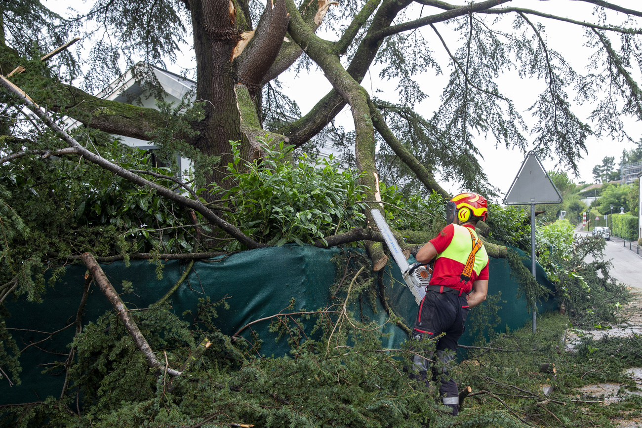 boscaiolo al lavoro mentre taglia i rami di un albero caduto