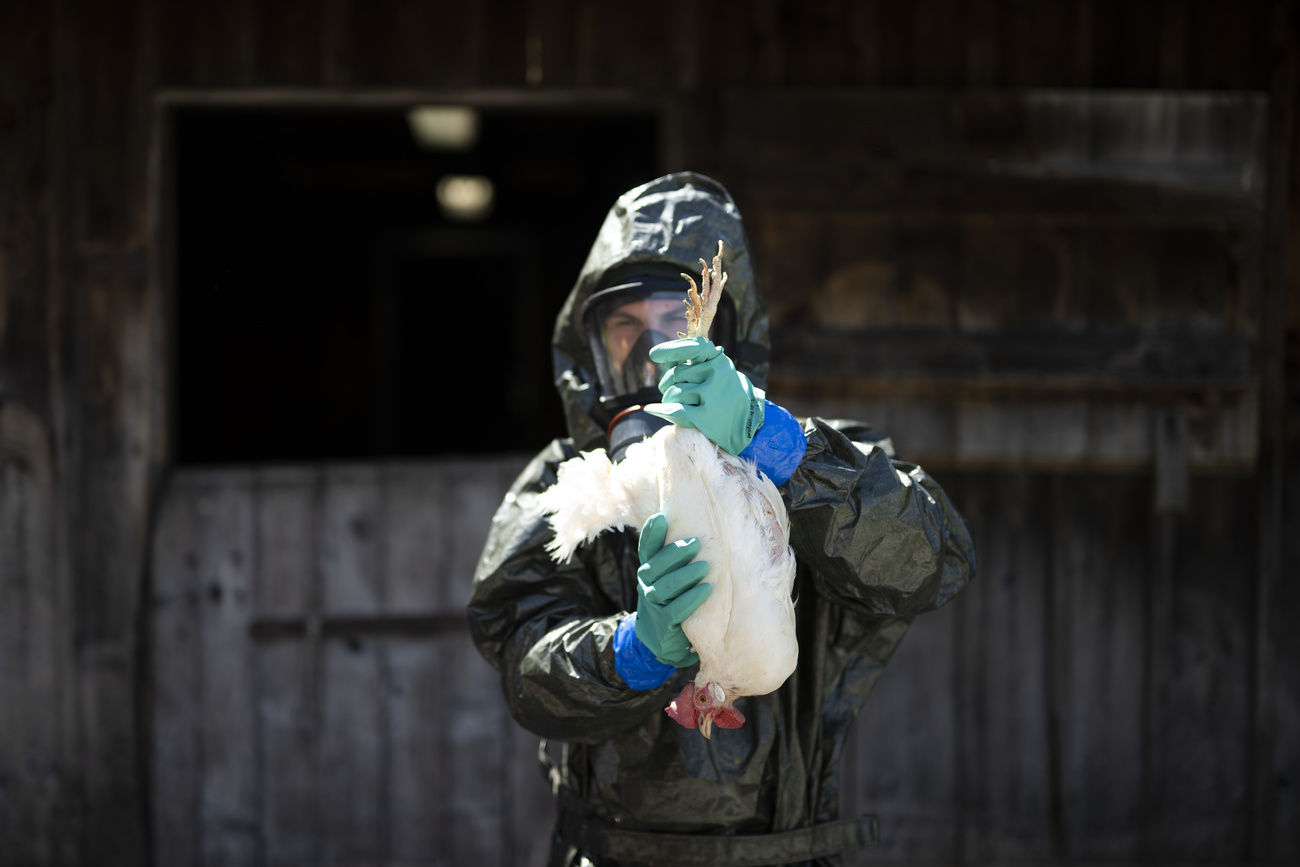 Un uomo completamente protetto con un pollo morto.