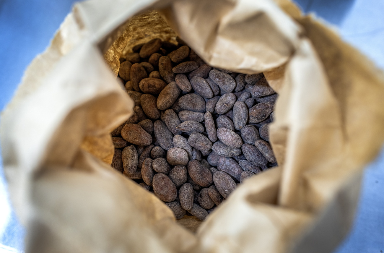 袋に入ったカカオ豆