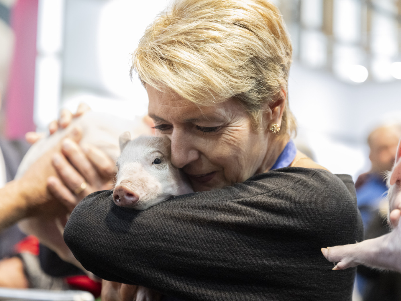 karin keller sutter abbraccia un maialino