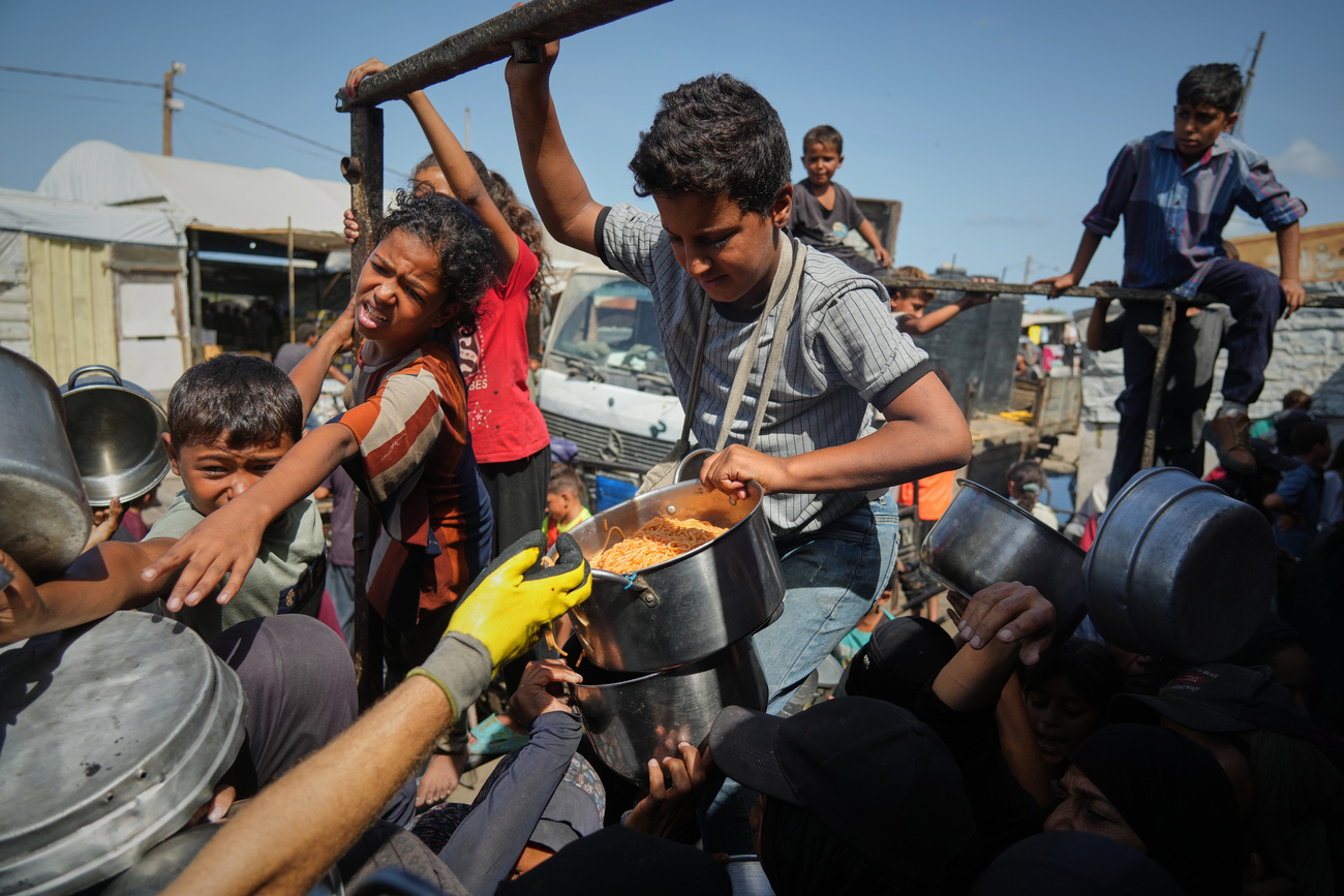 distribuzione cibo a gaza