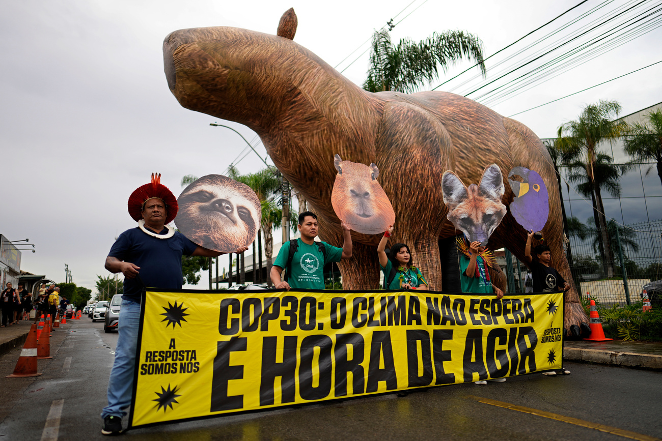 Indígenas protestando em uma rua do Brasil