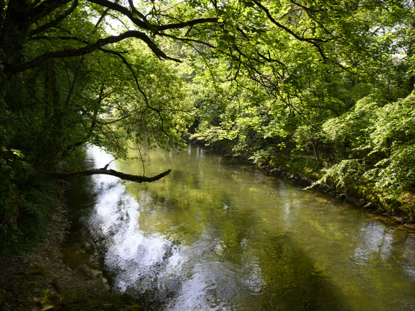 Researchers find 135 pesticides in Swiss streams and rivers