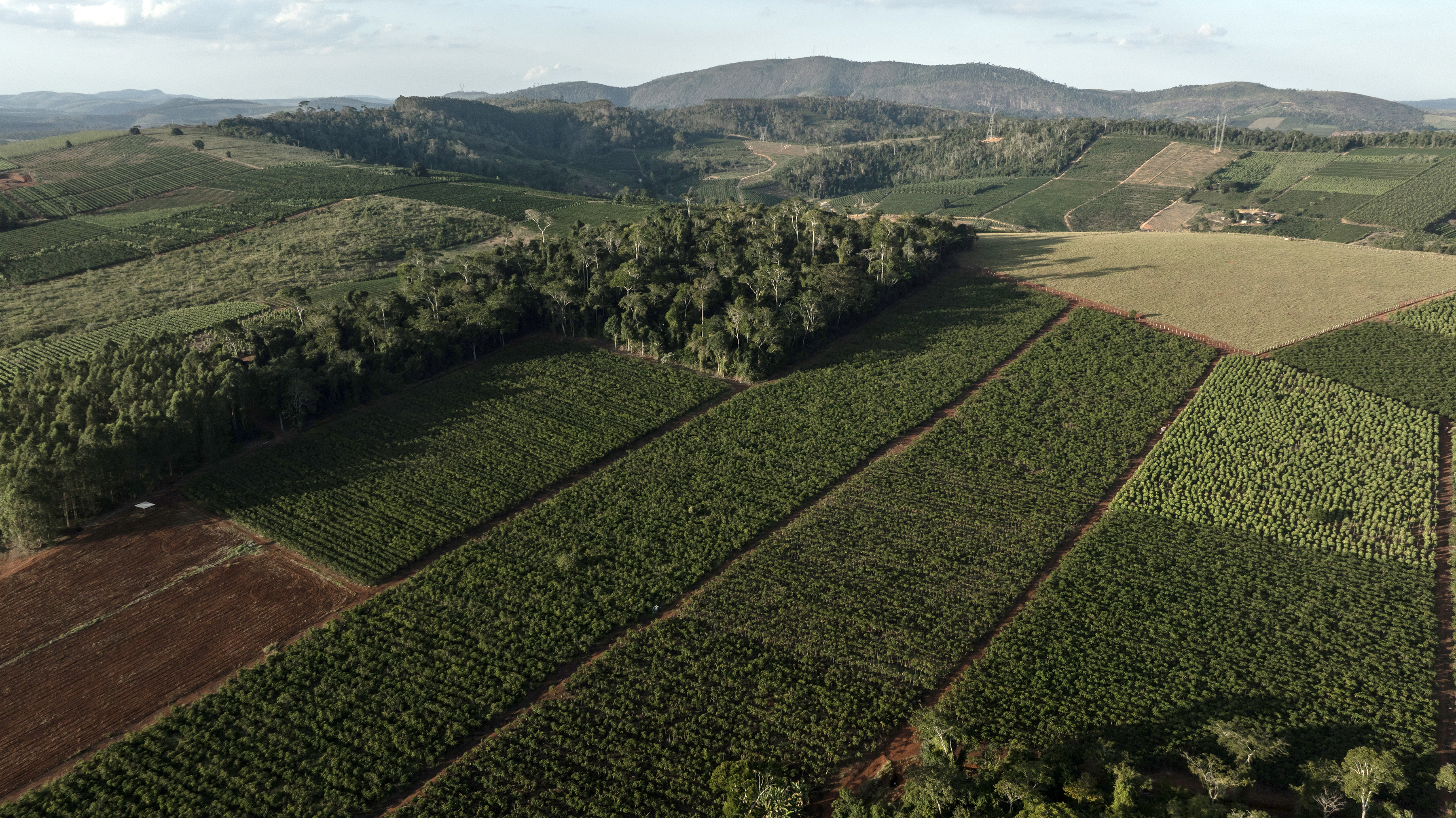A coffee farm in Vila Valerio, in the state of Espírito Santo, Brazil, in July. Brazil has opposed a European law requiring growers to provide geolocation data about the provenance of their crops.