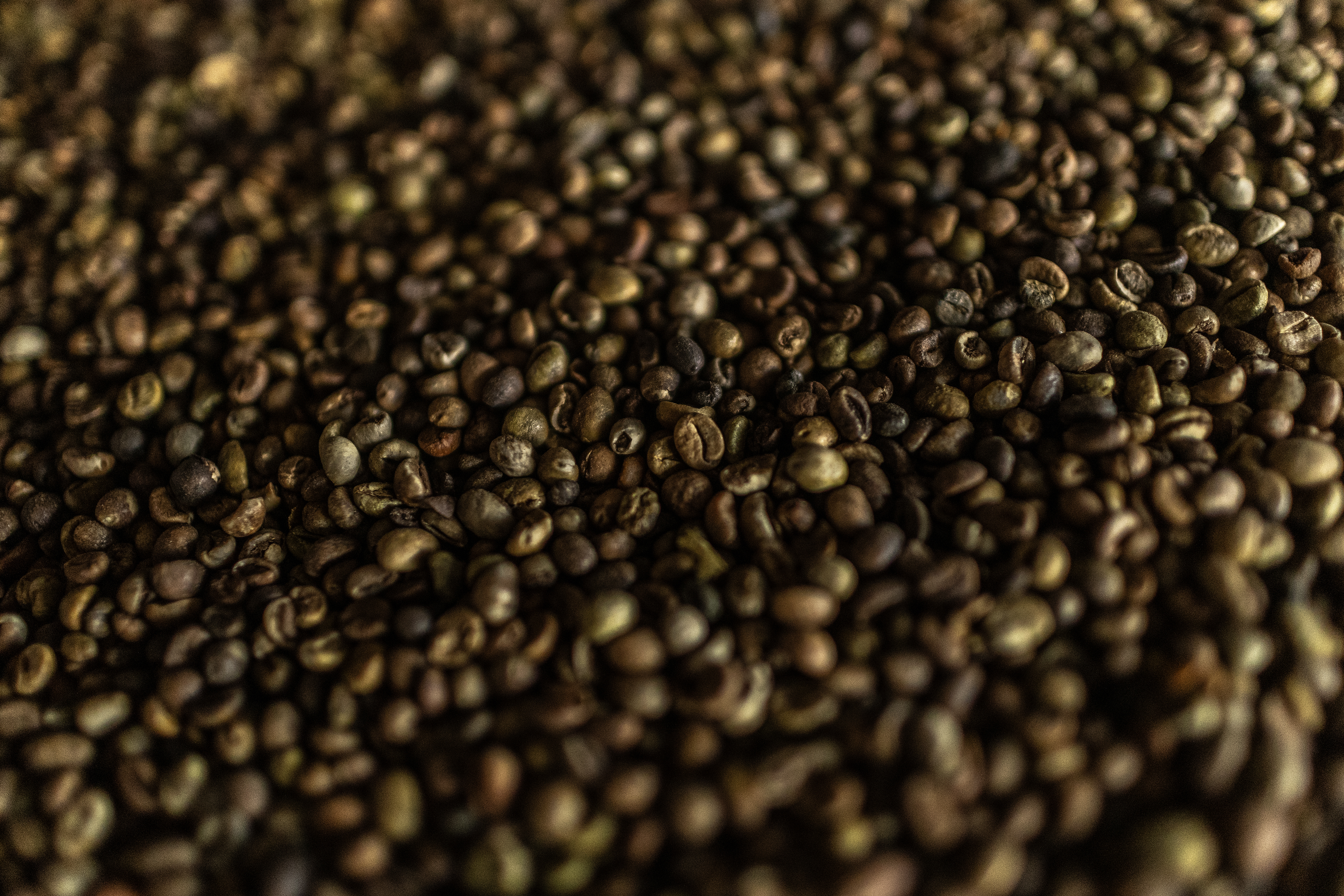 Brazil has an environment uniquely suited to coffee cultivation.