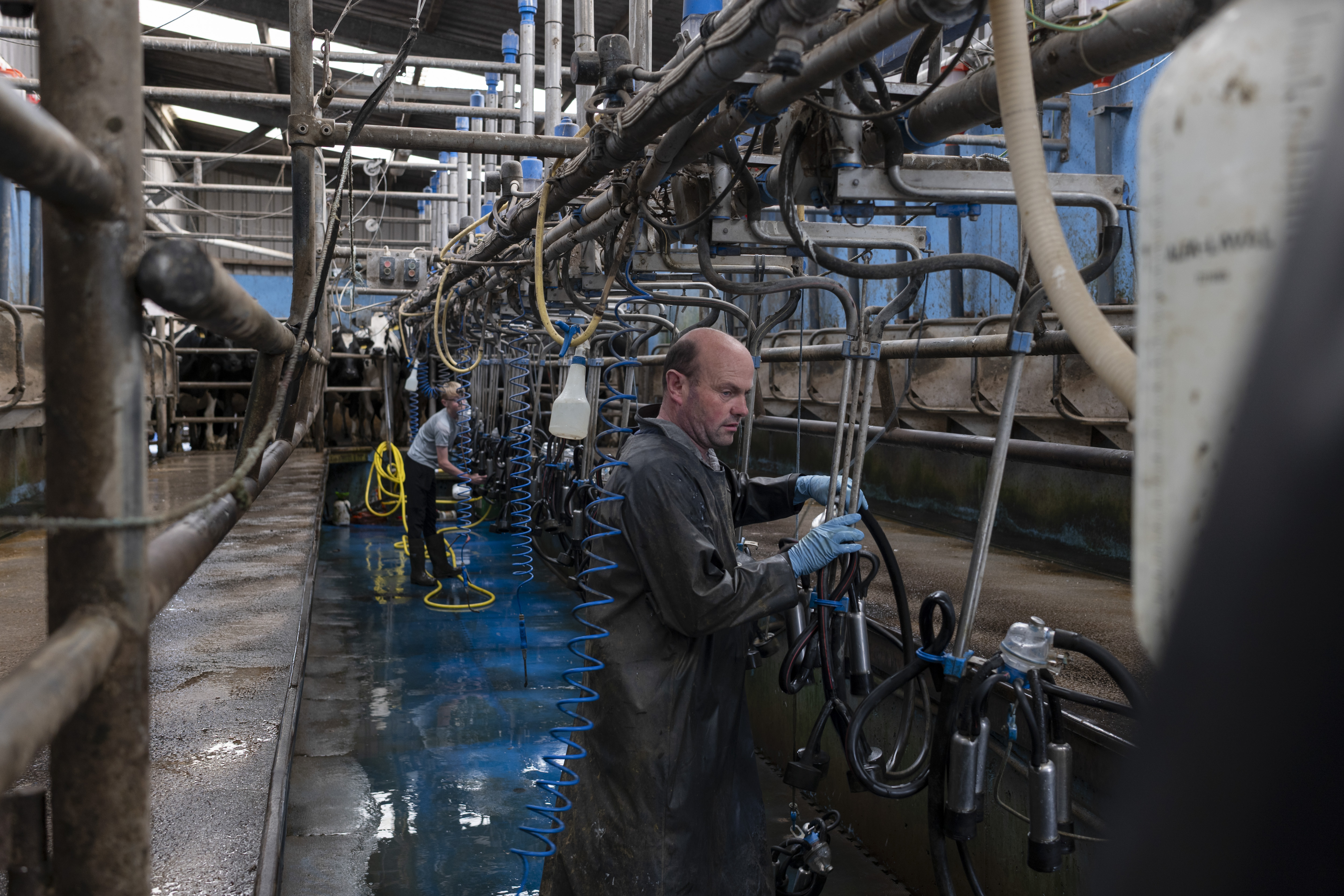 Tim Hanley at his dairy farm in western Ireland, near a Nestlé factory to which he provided milk for infant formula sold in China.